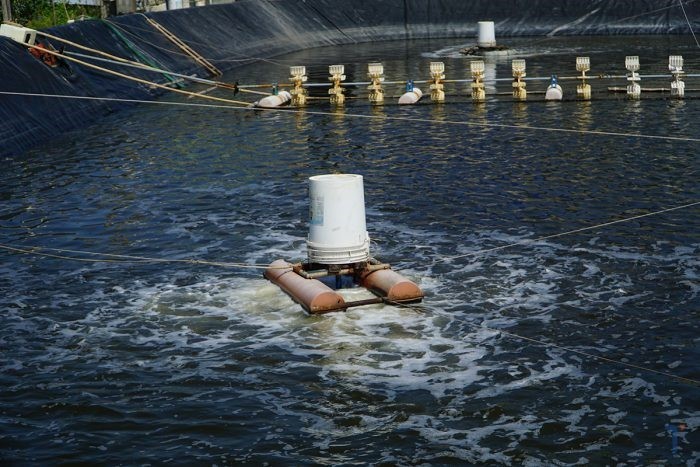 ham-luong-DO-trong-ao-tom-e1648603887290