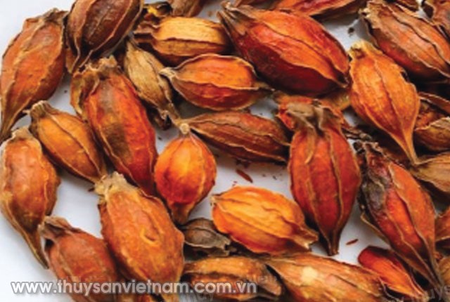 hat-lien-kieu-giup-tom-su-phong-EMS