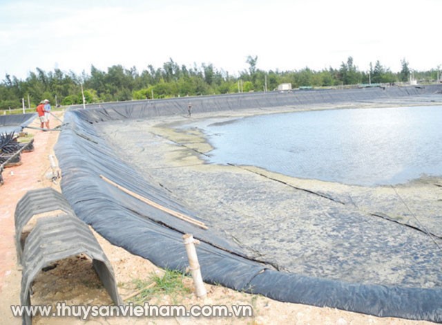 he-thong-nuoi-tom-tren-cat-02