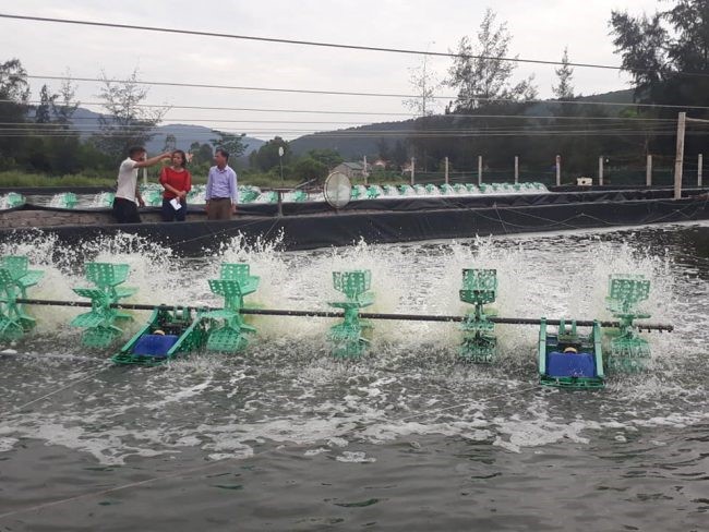 hieu-qua-tu-cac-mo-hinh-nuoi-tom-o-nghi-loc