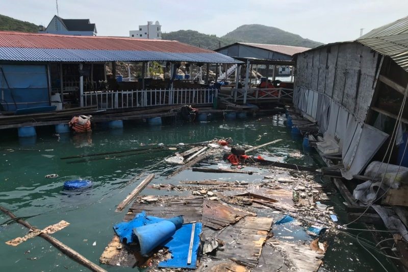 ho-nuoi-tom-trang-tay-e1640142968117