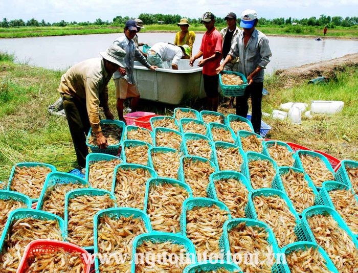 hoangvu-e1643273887856