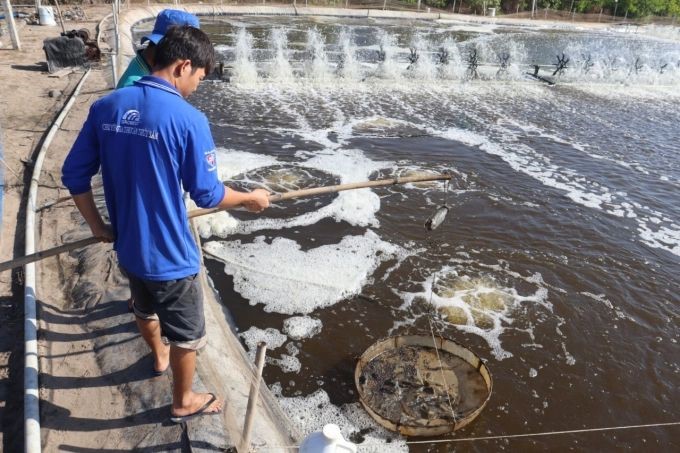 huong-dan-quy-trinh-ky-thuat-cho-nguoi-nuoi