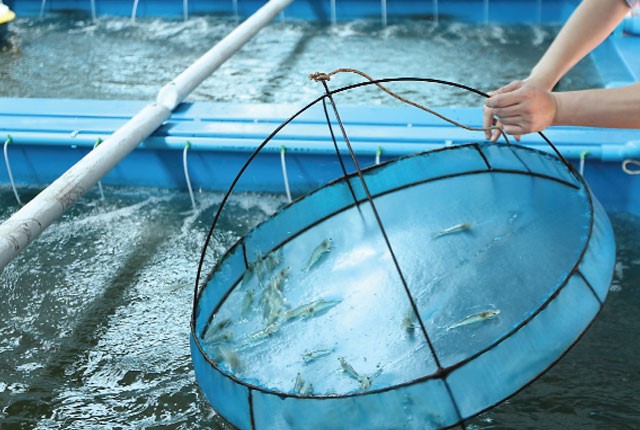 huyet-tuong-trong-thuc-an-tom-02