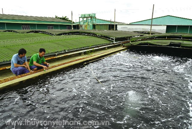 hydrogen-trong-ao-tom-02 (1)