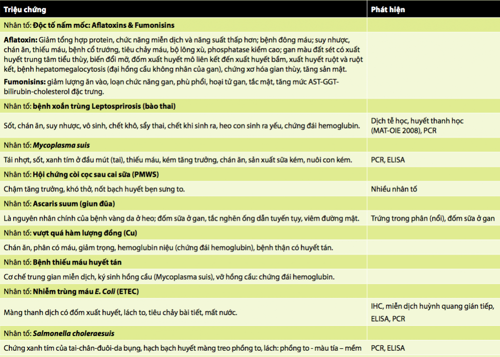 image-134-1024x731-1