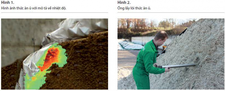 image-63-768x312-1 (1)