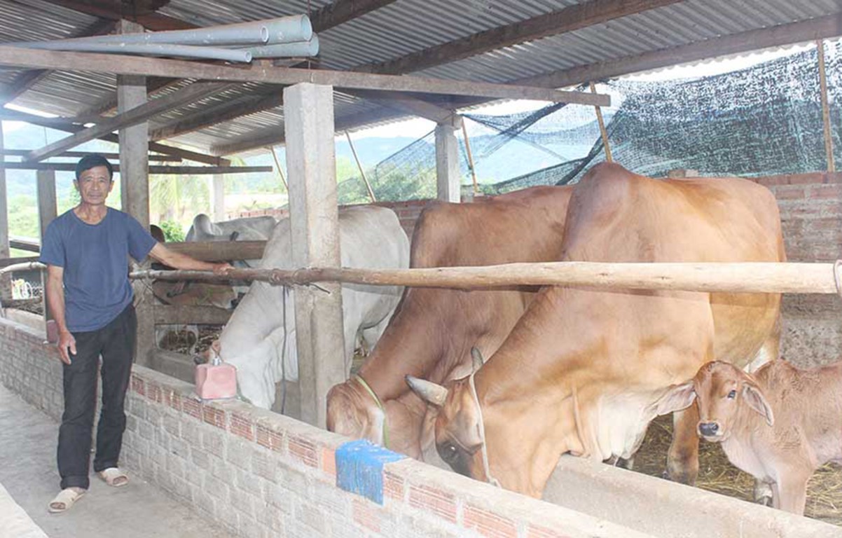 images3074734_1images2716511_1IMG_1307