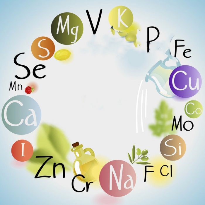 khoang-chat-bo-sung-qua-duong-tieu-hoa-e1606356252539