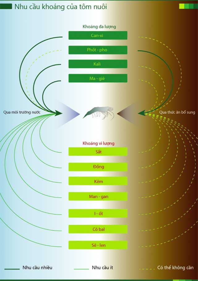 khoang-huu-co-vi-luong-trong-nuoi-trong-01