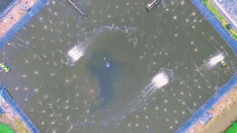 khu-nuoi-tom-theo-huong-cong-nghe-cao