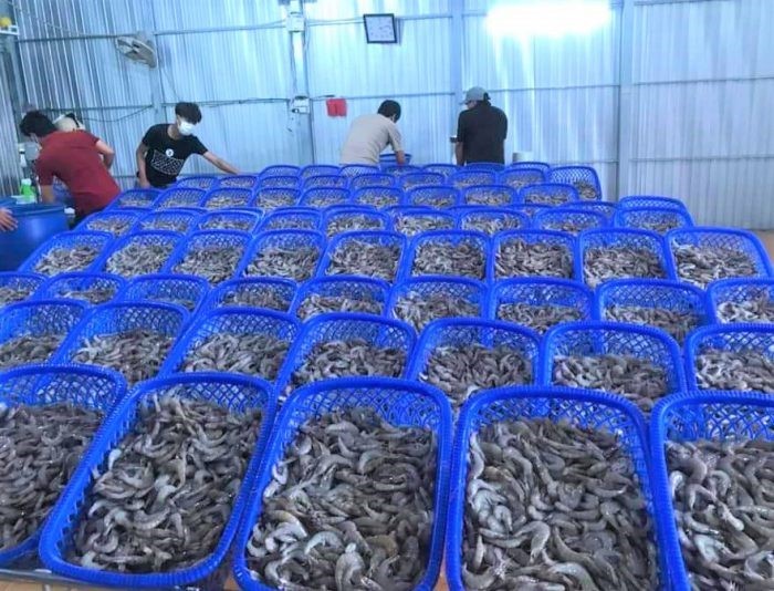 kiem-soat-chat-luong-san-pham-e1649141918268