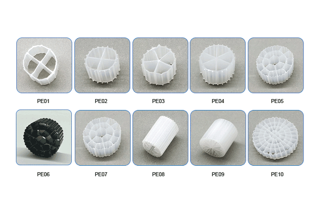 kiem-soat-hieu-qua-trong-ao-tom-01