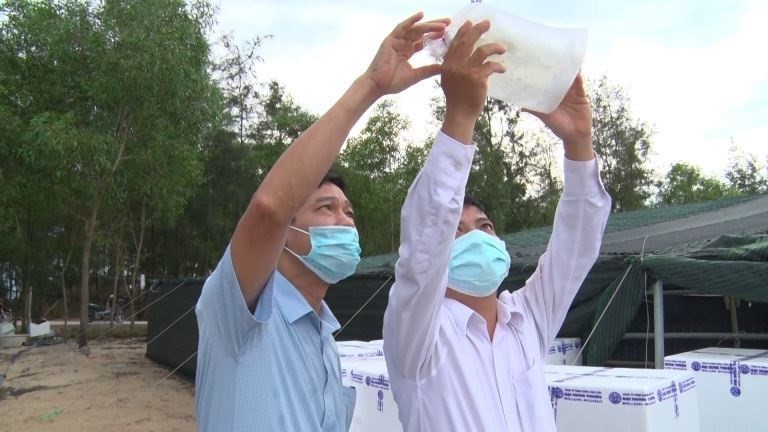 kiem-tra-chat-luong-tom-giong