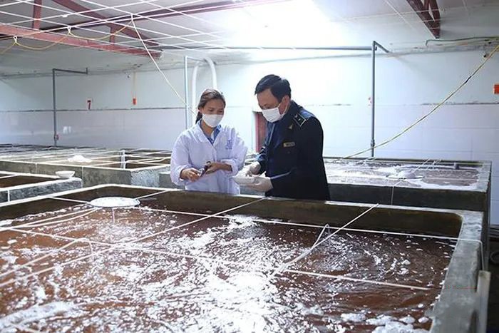 kiem-tra-san-xuat-tom-giong