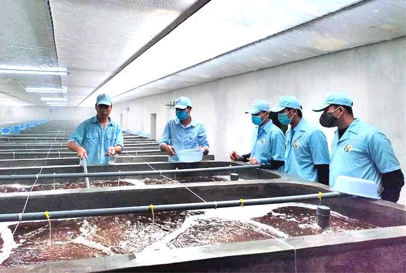 kiem-tra-toc-do-sinh-truong-cua-tom