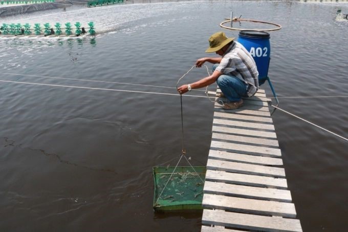 kiem-tra-viec-cho-tom-an