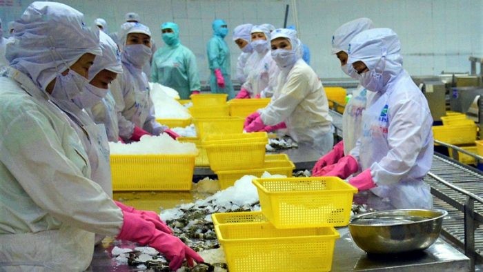 kim-ngach-xuat-khau-thuy-san-ca-mau-e1639550652923