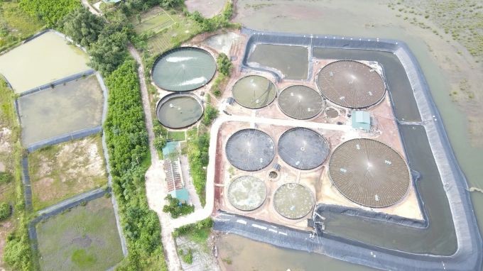 ky-su-tin-hoc-nuoi-tom-cong-nghe-cao