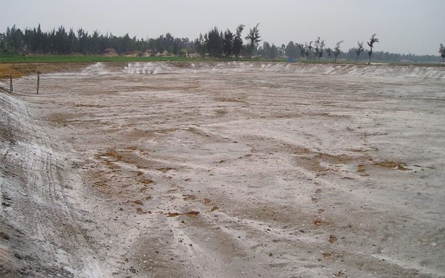 ky-thuat-nuoi-tom-the-chan-trang