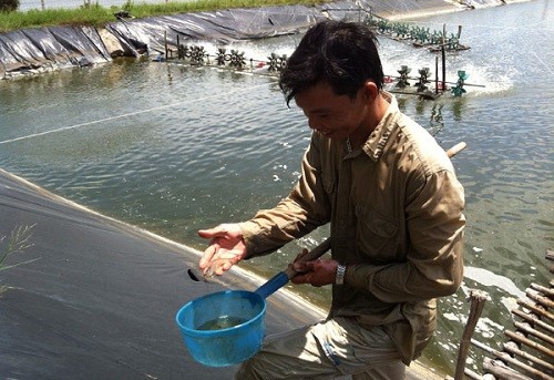 lam-dung-khang-sinh-trong-nuoi-trong-thuy-san