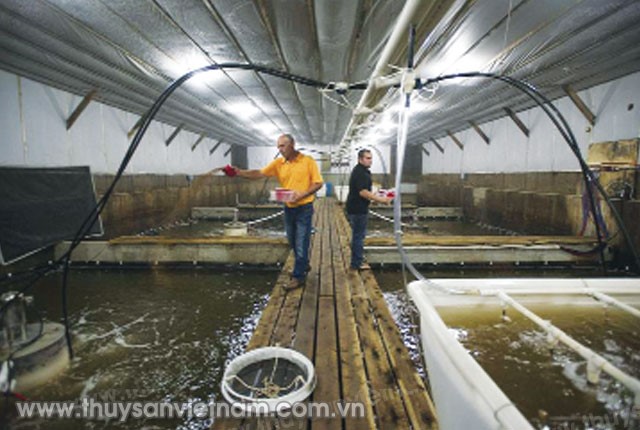 lam-sach-nuoc-thai-trang-trai-02