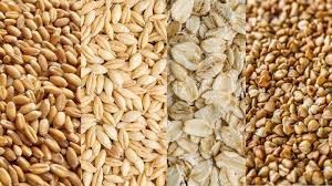 Rabobank: Dự báo giá các loại nông sản chủ yếu trong 10 năm tới vẫn ở mức cao