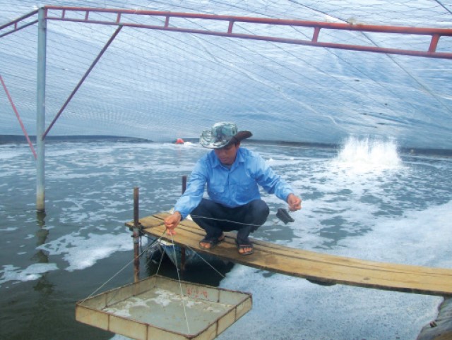 luu-ynuoi-tom-khi-thoi-tiet-bat-loi