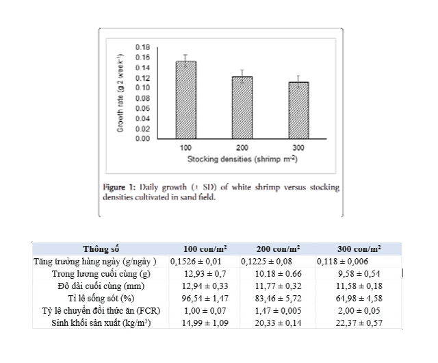 mat-do-nuoi-tom-ao-lot-bat-01