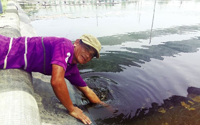 mat-ri-duong-nuoi-tom