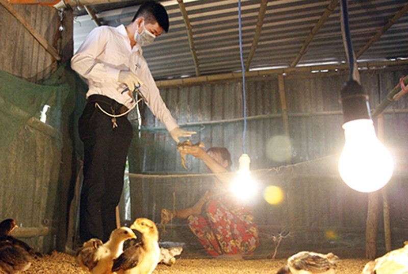 mau-huyet-thanh-gia-cam