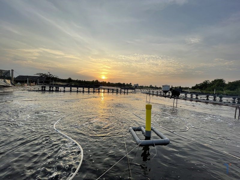 may-do-moi-truong-tu-dong-e1639791450941