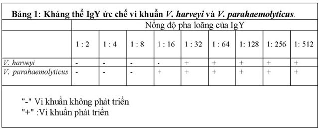 mien-dich-bang-long-do-trung-ga-03