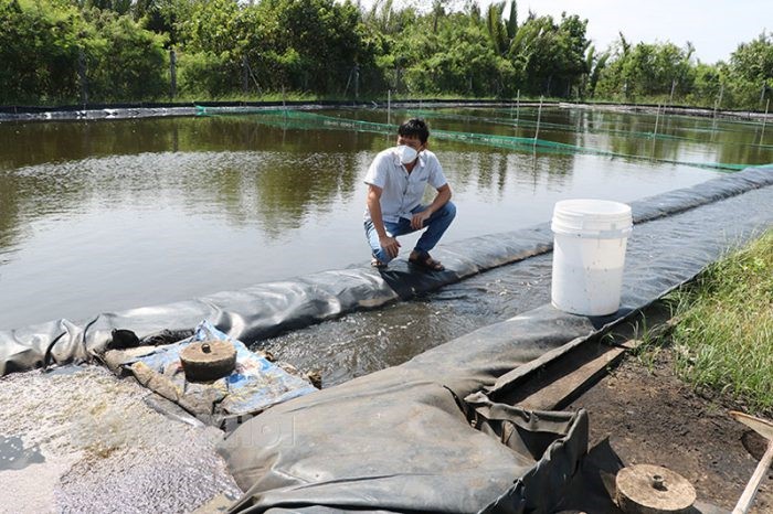 mo-hinh-combine-mini-e1638841738946