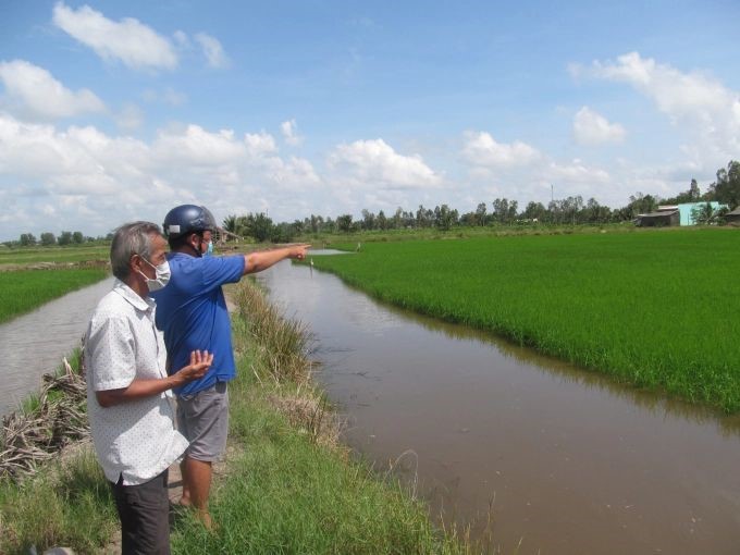 mo-hinh-con-tom-cay-lua-tren-dia-ban-bac-lieu