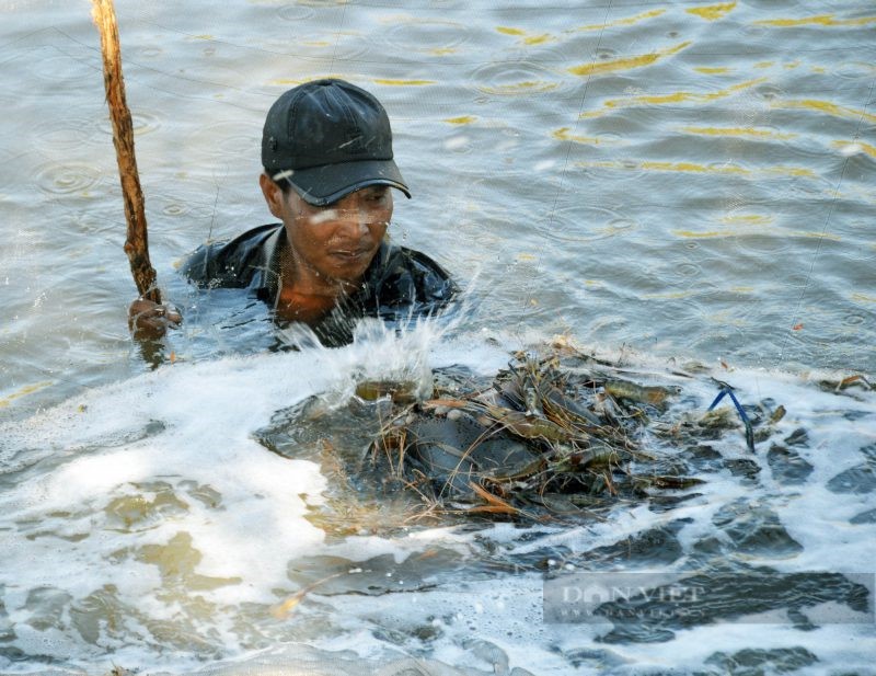 mo-hinh-ket-hop-e1640760709160