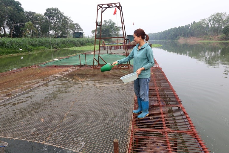 mo-hinh-nuoi-ca-long