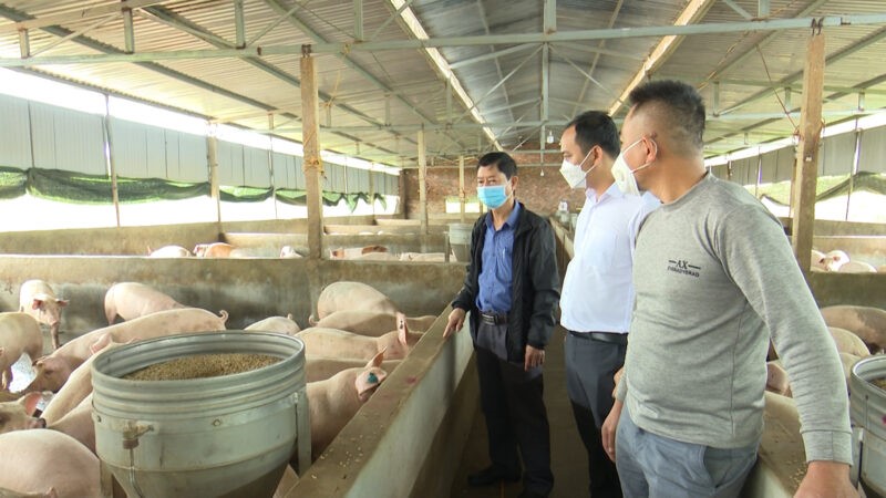 mo-hinh-nuoi-heo-e1642823715299