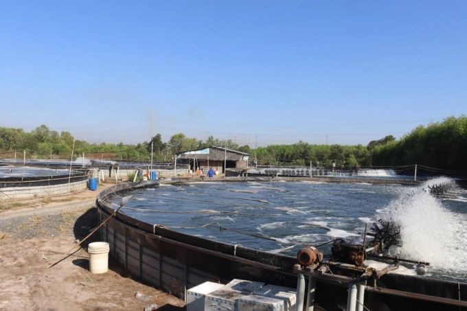 mo-hinh-nuoi-tom-tren-be-tron