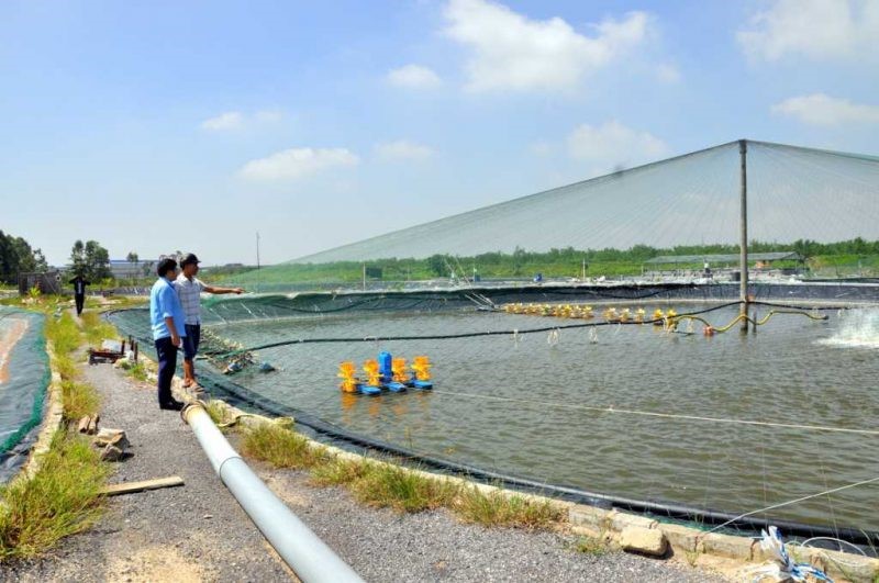 mo-hinh-nuoi-tom-ung-dung-cong-nghe-cao-e1644466989313