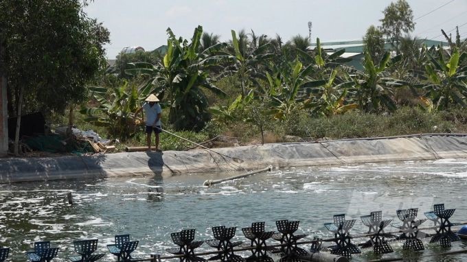 mo-rong-mo-hinh-tha-them-tom