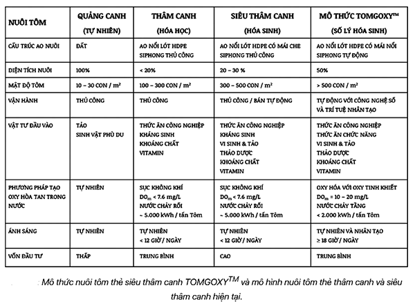 mo-thuc-nuoi-tom-the