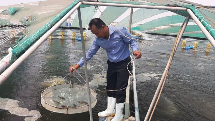 moi-truong-ao-nuoi-la-yeu-to-quyet-dinh