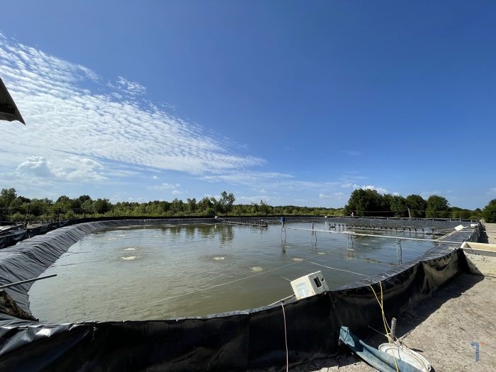 mua-nang-that-thuong-e1649898712255 (1)