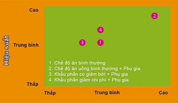 nang-cao-hieu-qua-chan-nuoi-ga