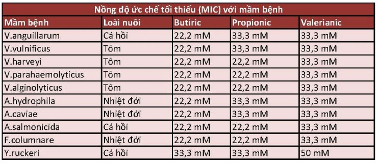 nguon-dinh-duong-nuoi-tom-ben-vung-01
