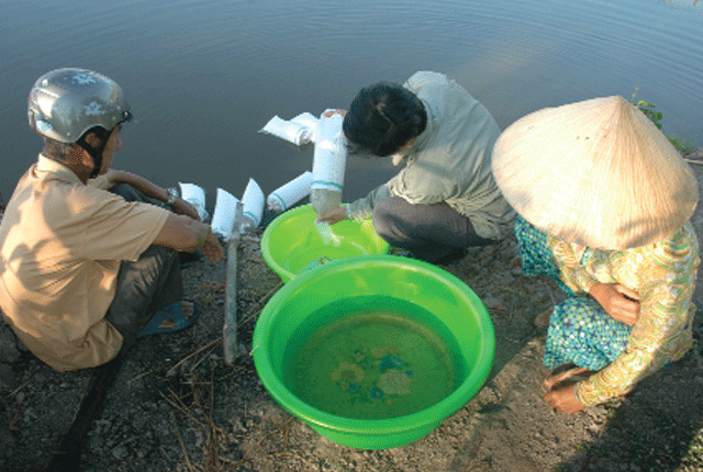 nguyen-tac-nuoi-tom-huu-co-02