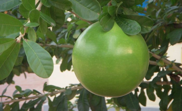 nh-2-bài-phụ-e1645089425688