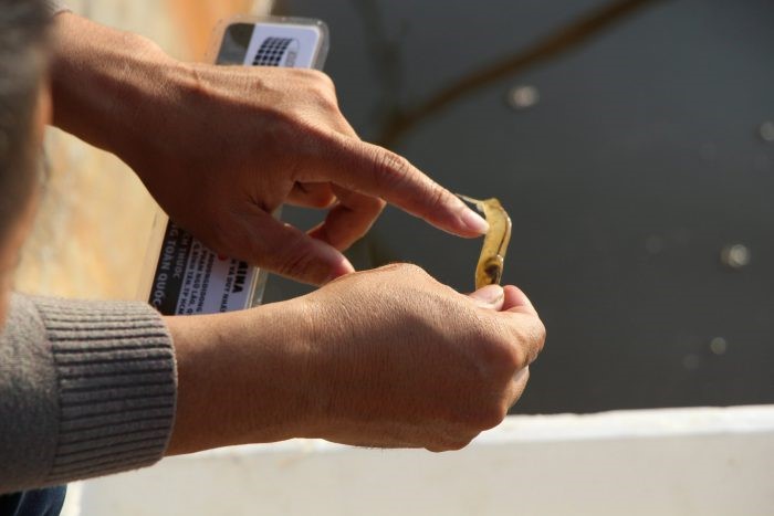 nh-bài-phụ-43-scaled-e1635905982934