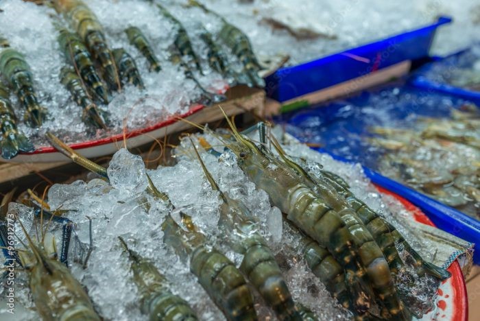 nh-bài-phụ-trang-15-e1641983830704